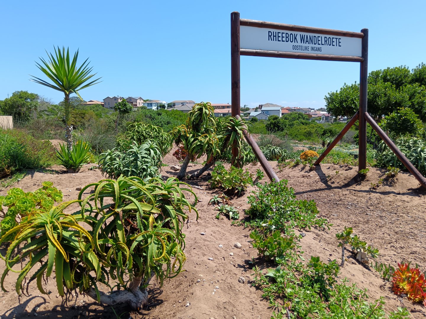0 Bedroom Property for Sale in Reebok Western Cape